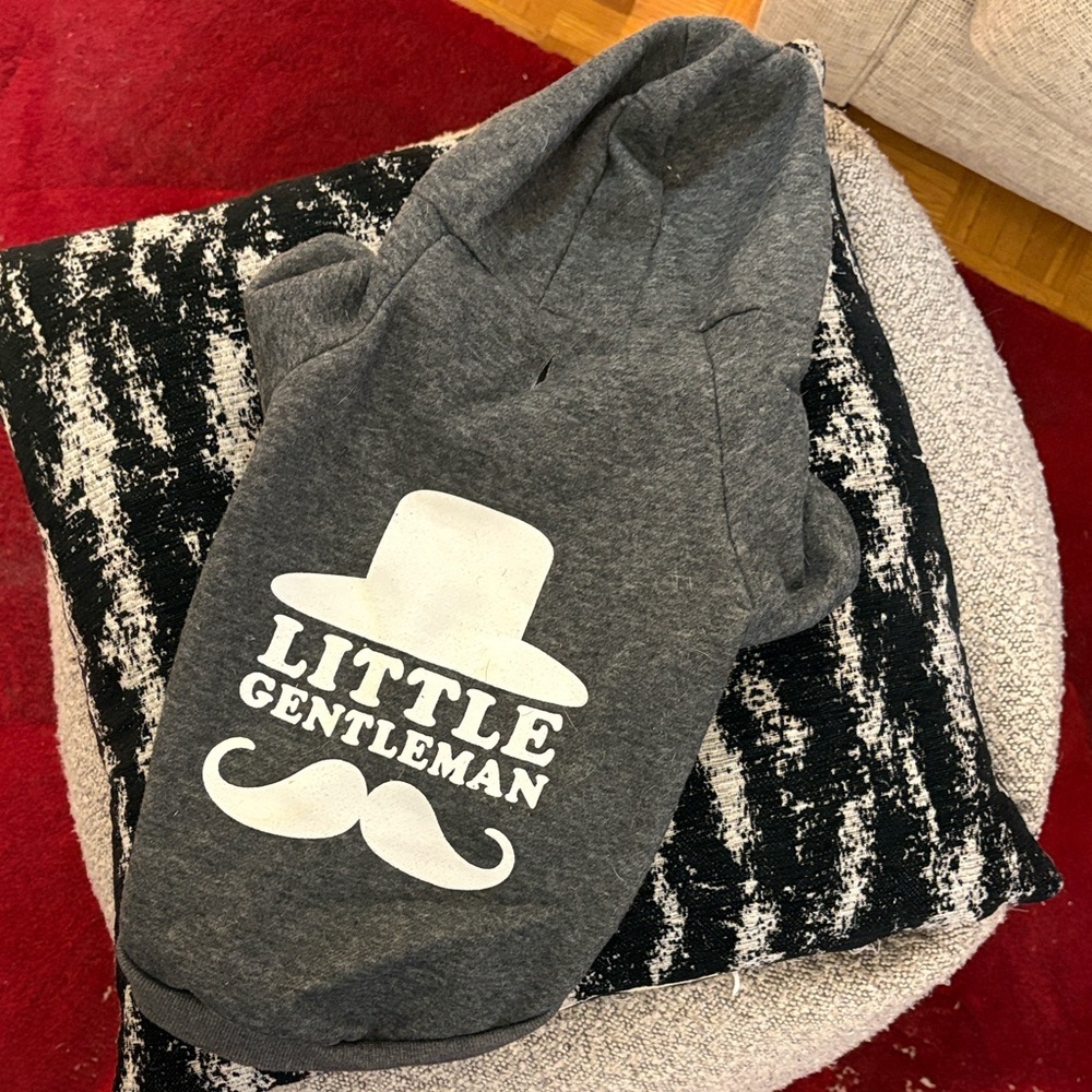 Gray Little Gentleman Dog Hoodie